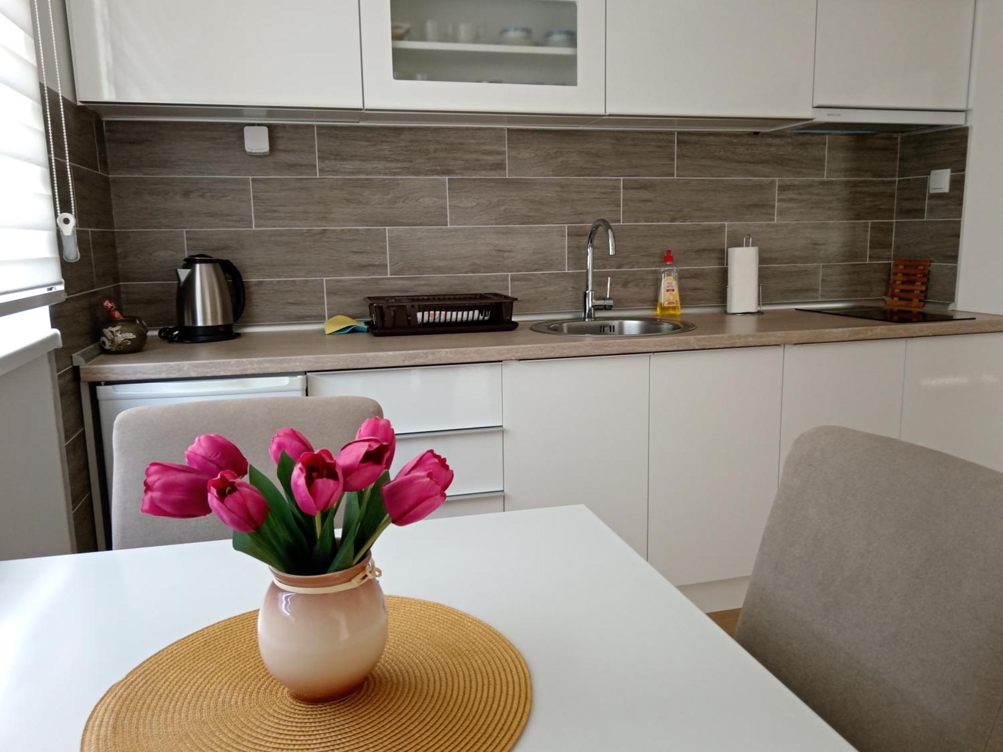 Apartament Mk Zlatibor Zewnętrze zdjęcie