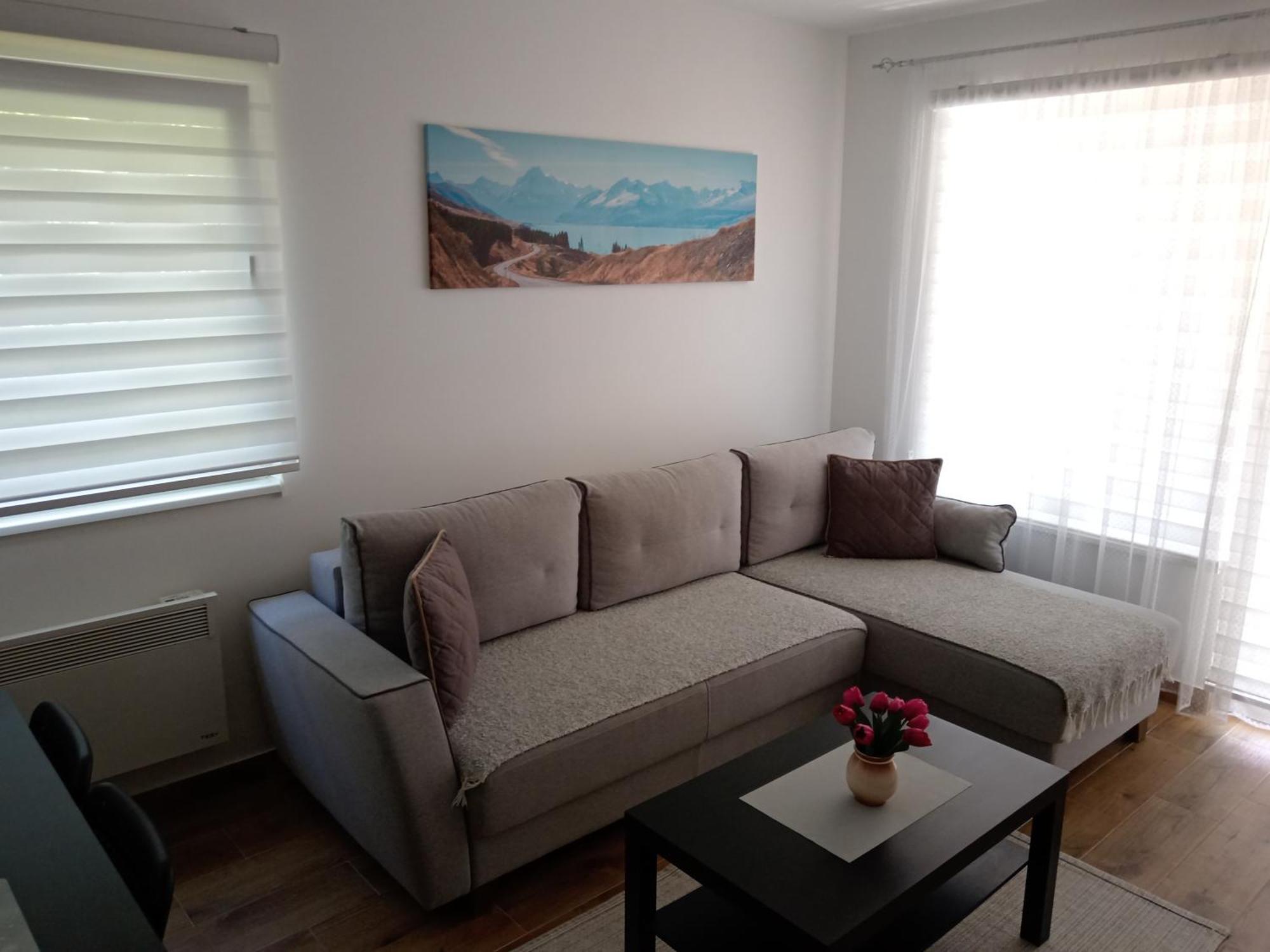 Apartament Mk Zlatibor Zewnętrze zdjęcie