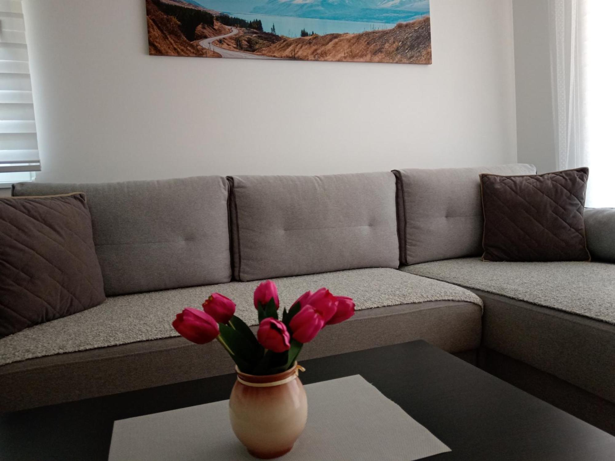 Apartament Mk Zlatibor Zewnętrze zdjęcie