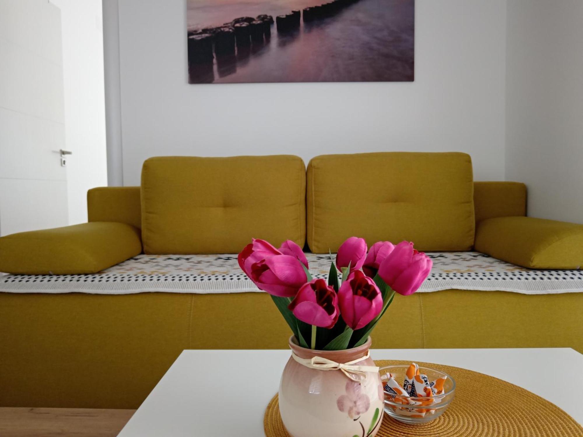 Apartament Mk Zlatibor Zewnętrze zdjęcie